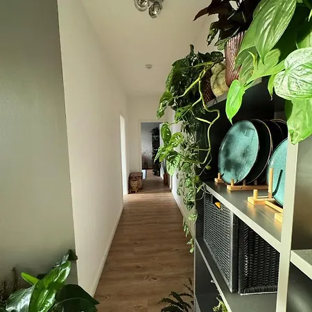 Gemuetliche Schlafcouch Im Hellen Wohnzimmer Zum Kurzaufenthalt Homestay Cologne