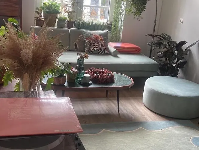 Gemuetliche Schlafcouch Im Hellen Wohnzimmer Zum Kurzaufenthalt