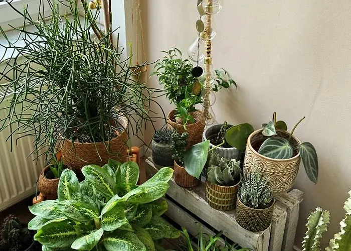 Gemuetliche Schlafcouch Im Hellen Wohnzimmer Zum Kurzaufenthalt Kwatera prywatna Kolonia